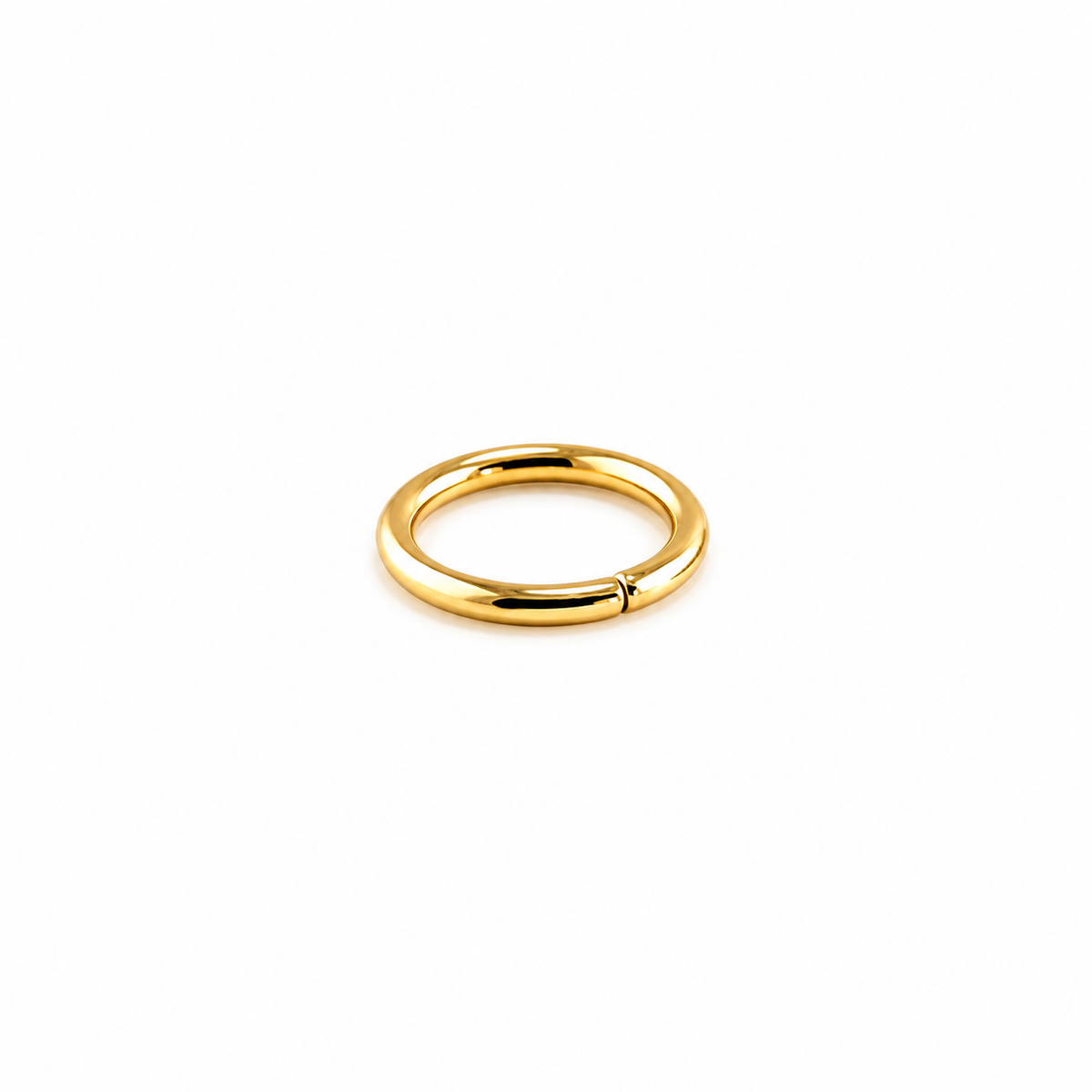 Gold PVD Niobium Seamless Ring