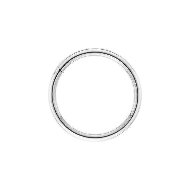 20G Titanium Hinged Ring