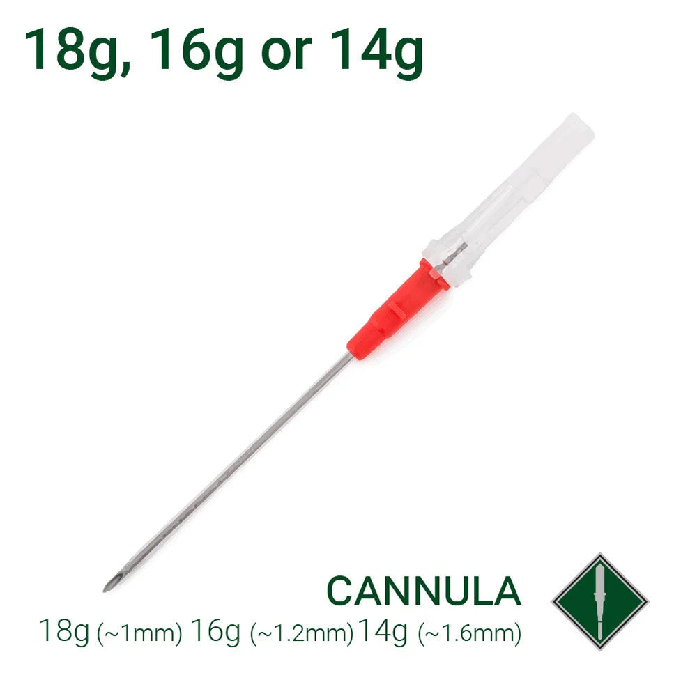 Cannula Piercing Needle