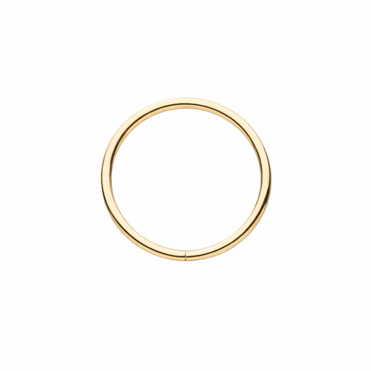 14k Solid Gold Seamless Ring