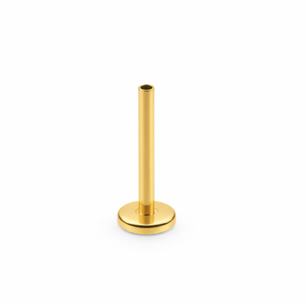 16G Gold PVD Titanium Internally Threaded Labret Pin