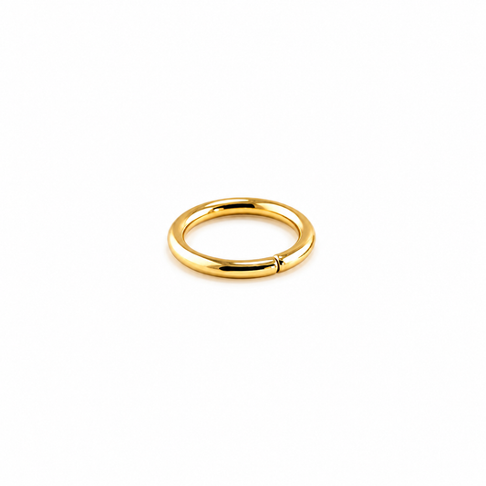 Gold PVD Niobium Seamless Ring