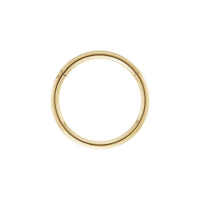 20G Gold PVD Titanium Hinged Ring